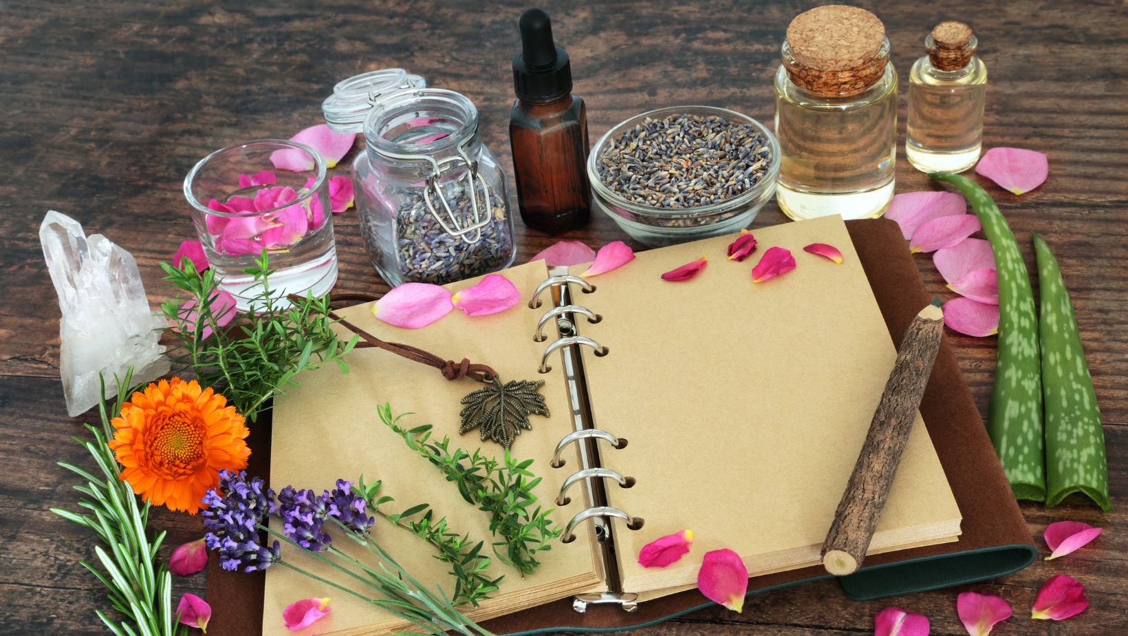 the lost book of herbal remedies review